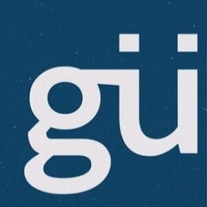 guelcom logo. This is one of the clients Emmanuele Durante, the web developer, work with